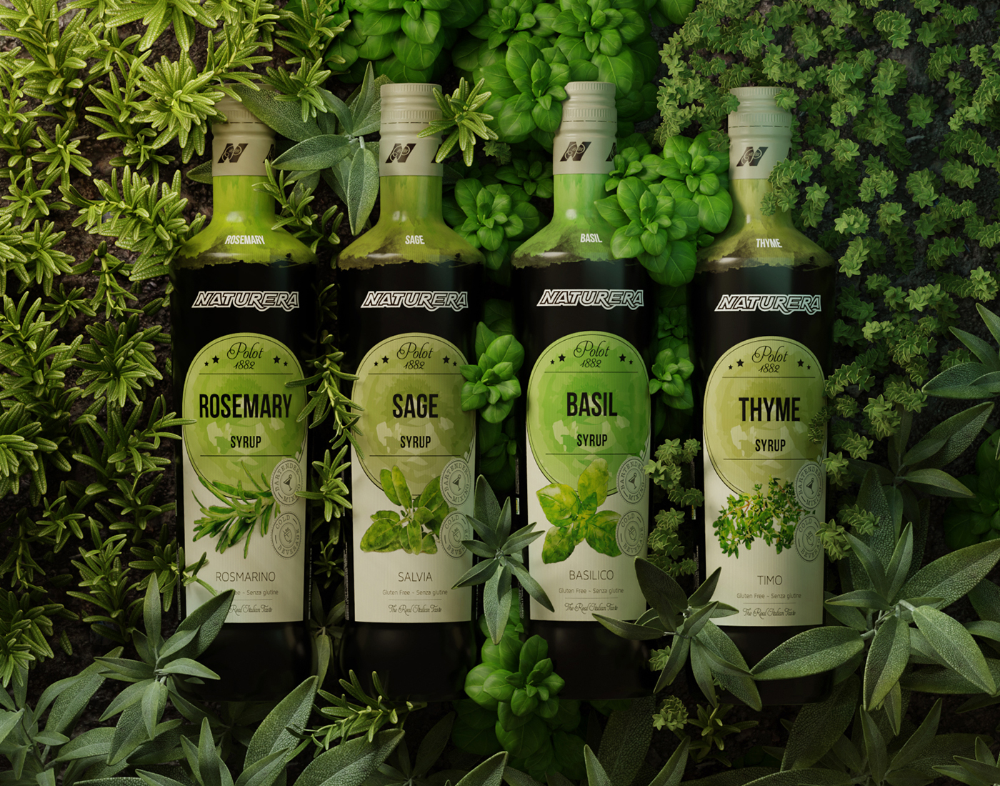Sciroppi alle erbe officinali