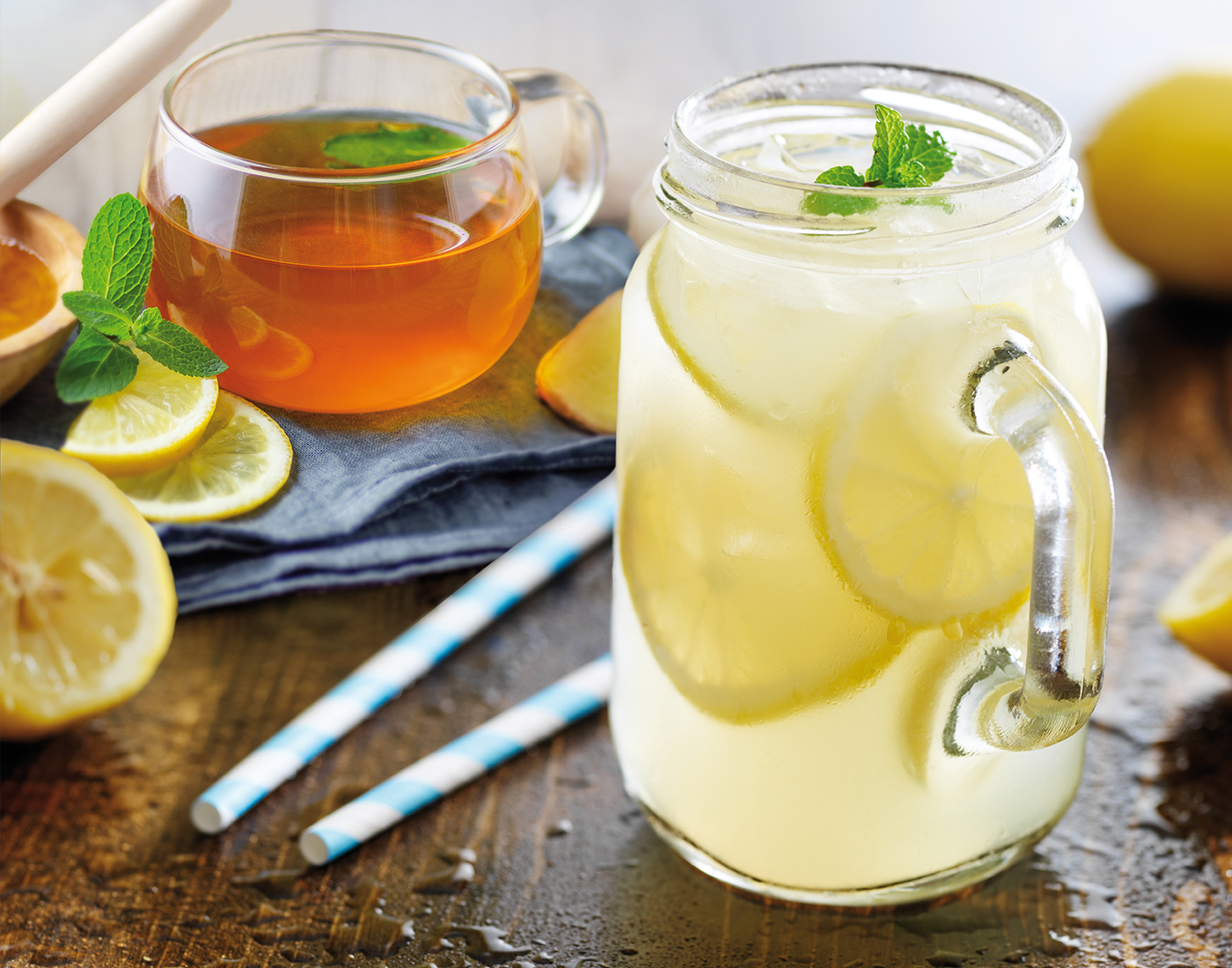 Wellness Waters Polot 1882