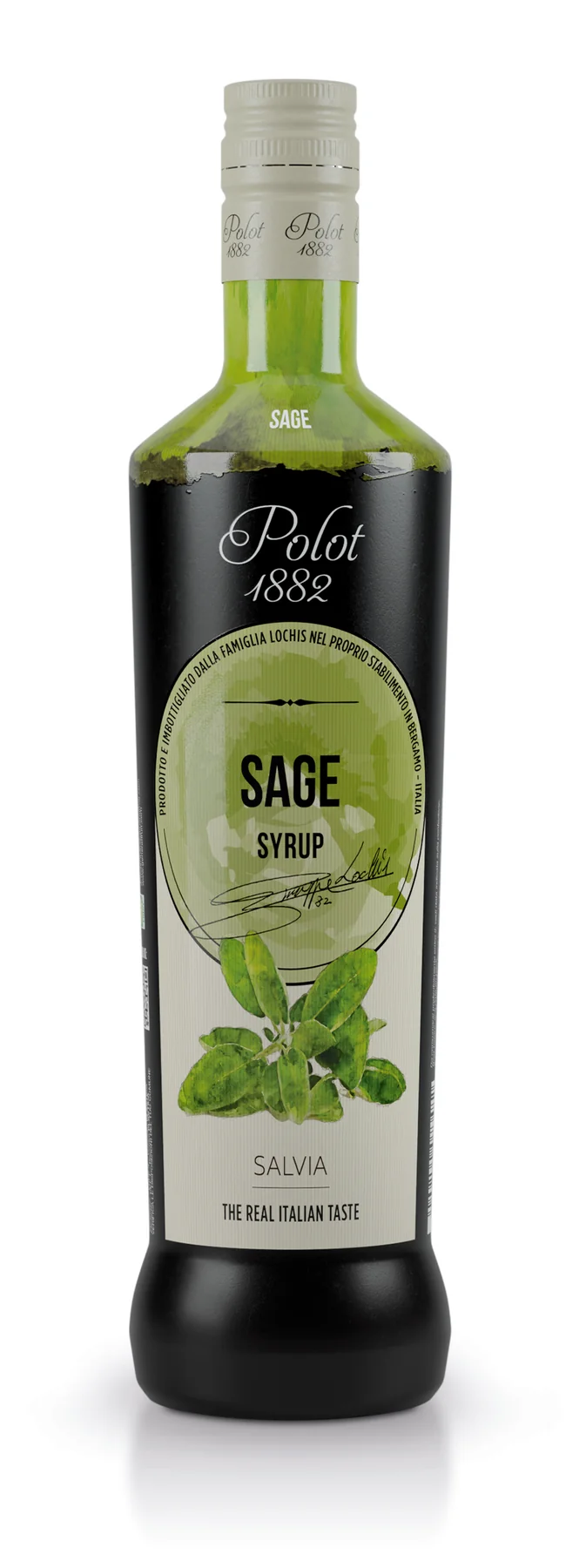 Salvia
